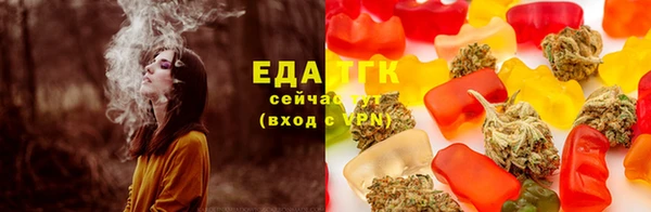 крисы Магадан
